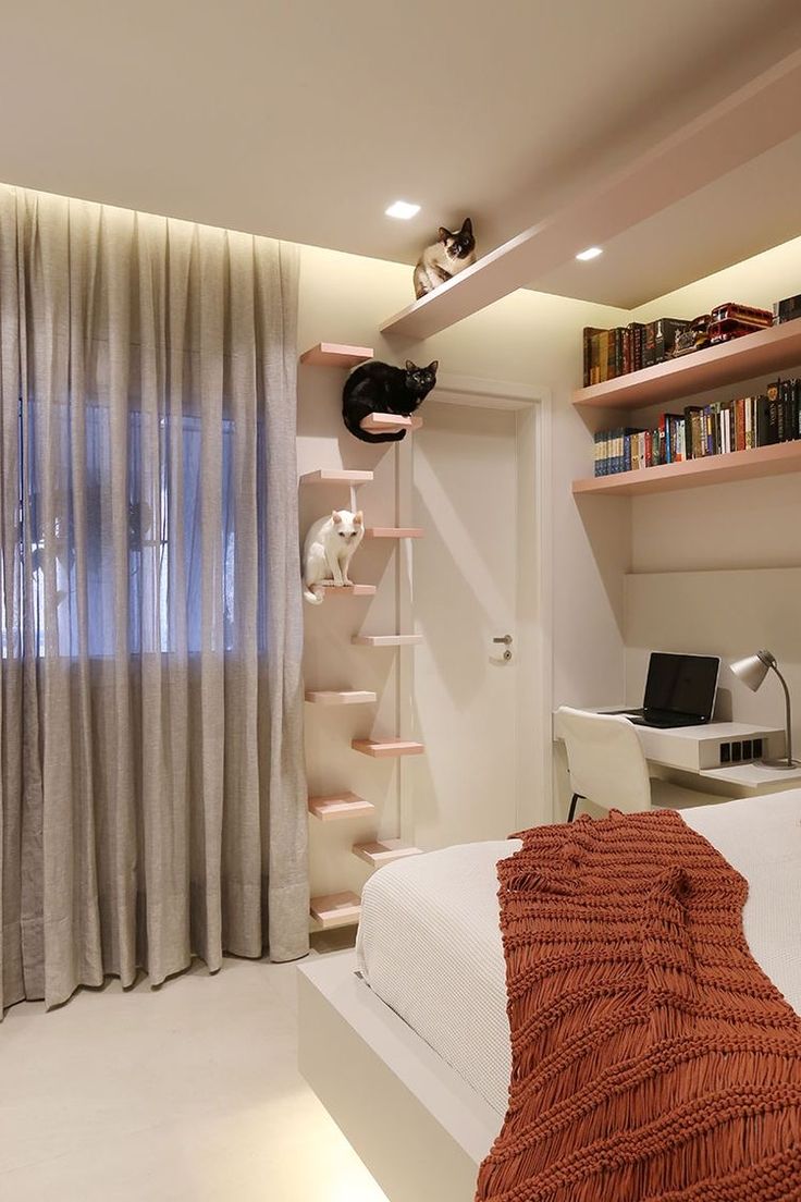 there is a cat sitting on the bookshelf above the bed