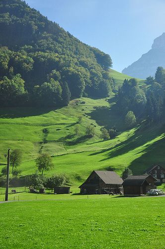 a lush green hillside with houses and mountains in the background