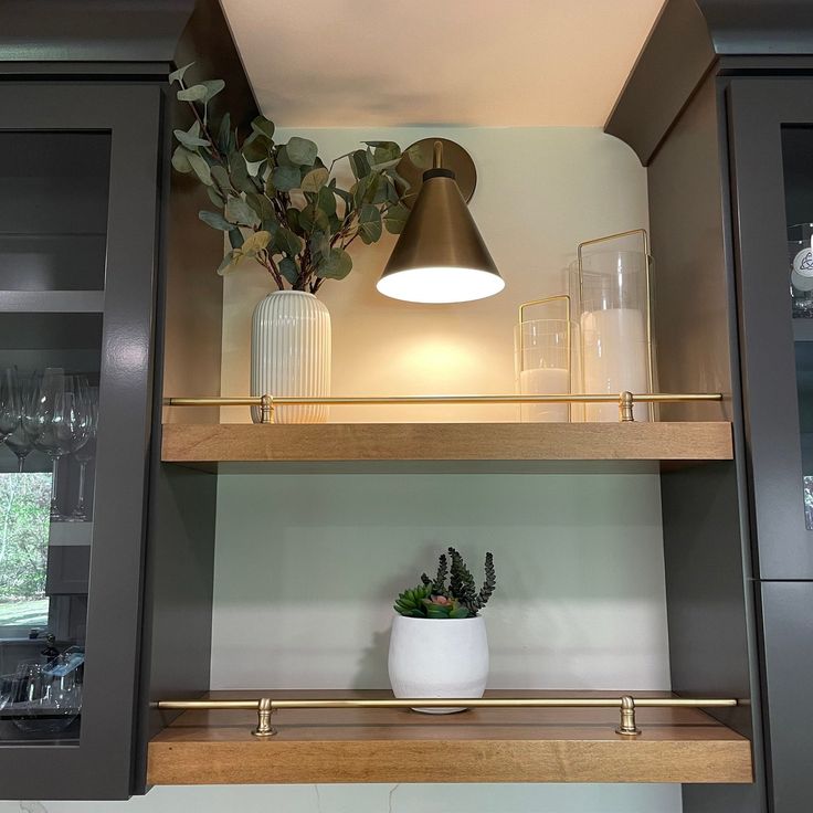 a potted plant sitting on top of a wooden shelf next to a glass cabinet