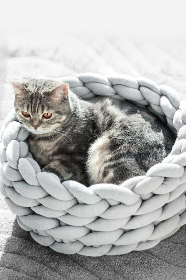 a cat is sitting in a white rope bed