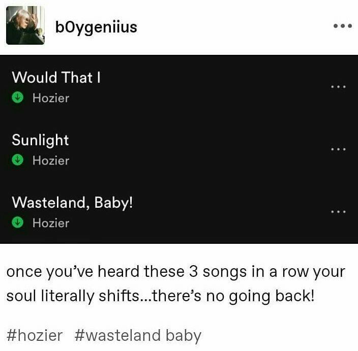 Song Names Aesthetic, Best Spotify Playlists For Every Mood, Music Asks, Playlist Names Funny, Hozier Playlist, Hozier Songs, Playlist Vibes, Best Spotify Playlists, Bog Man