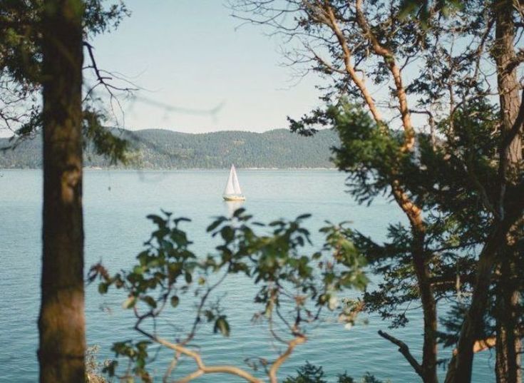 a sailboat floating on top of a large body of water surrounded by trees in the foreground