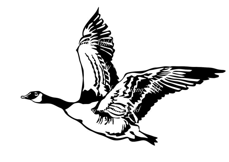 a black and white drawing of a duck flying in the air with its wings spread