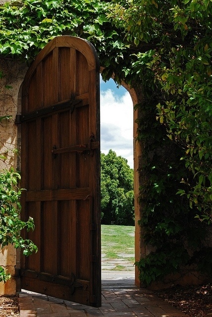 an open wooden door with vines growing over it