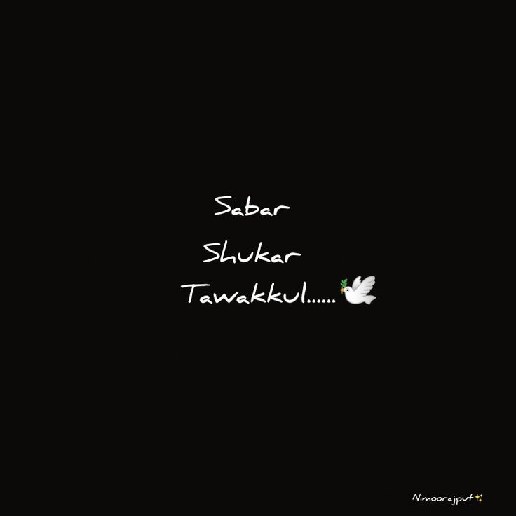 two birds are flying in the dark with words written below them that read, saar shukar tamaku