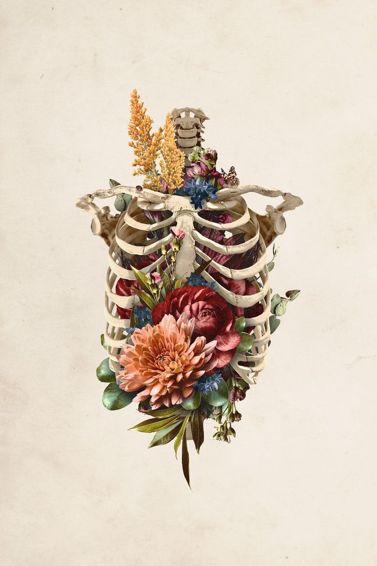 a drawing of a human skeleton with flowers on it's chest and back side