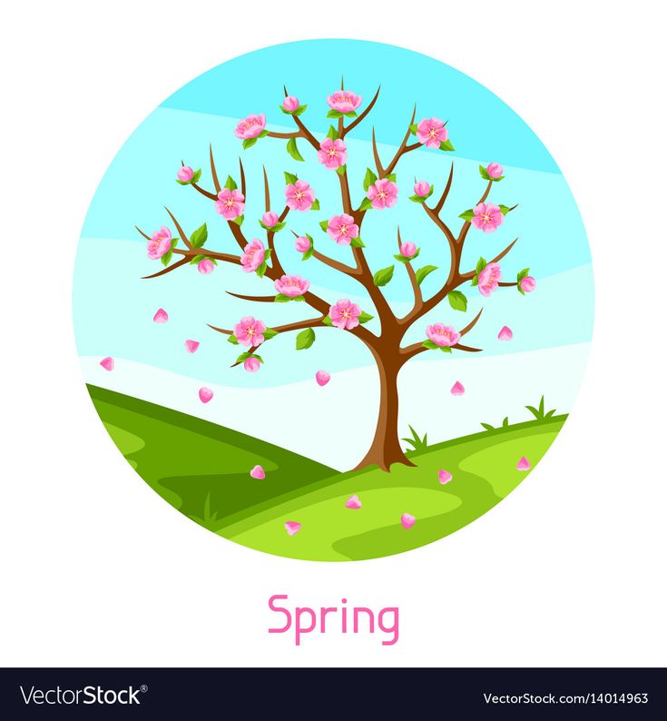 a spring tree with pink flowers in the field