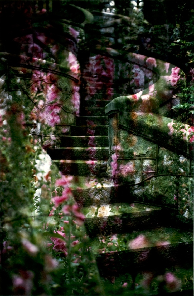 the stairs are covered in pink flowers and greenery