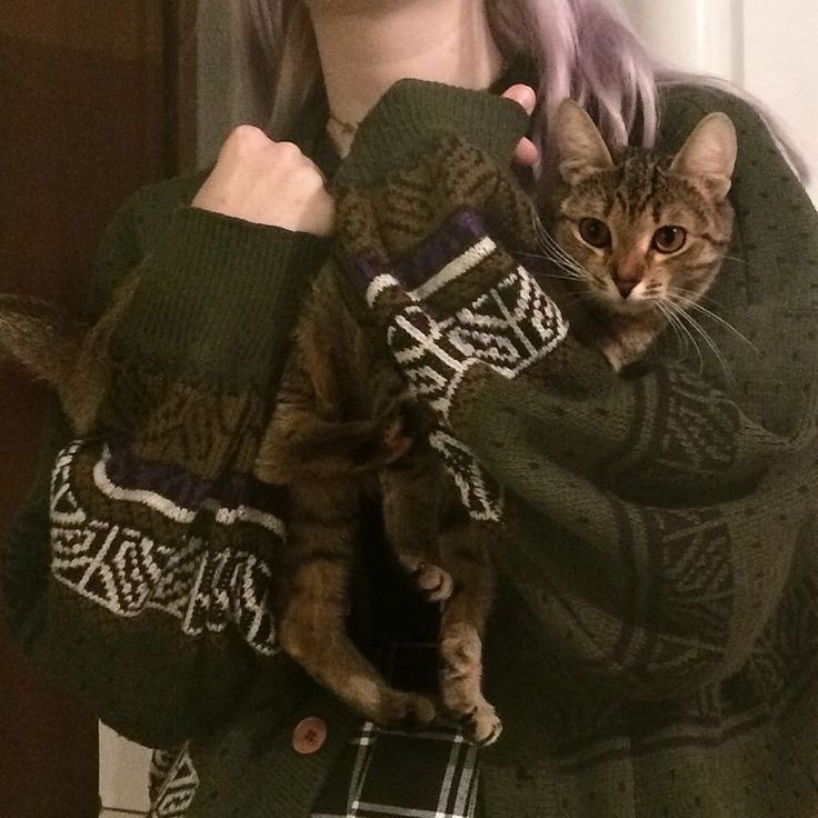 a woman holding a cat in her arms while wearing a green sweater and plaid pants