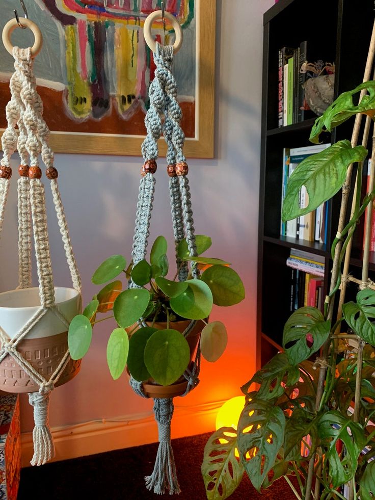 two hanging planters with plants in them next to a book shelf and bookshelf