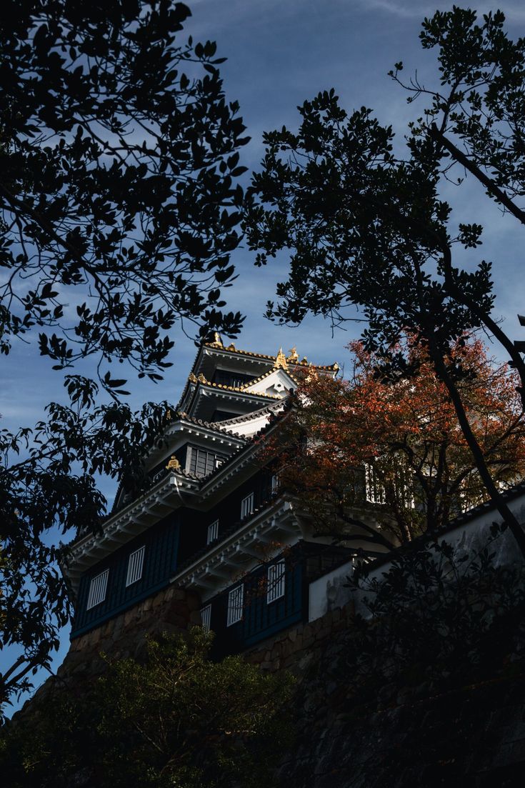 a tall building with a clock on the side of it's face next to trees