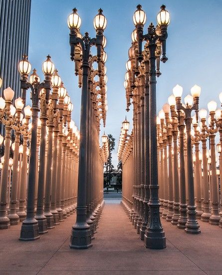 the street lights are lined up along the walkway in front of tall buildings at dusk