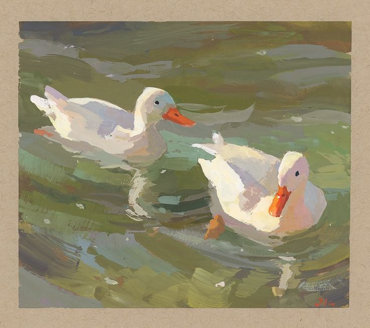 two white ducks floating on top of a lake next to another duck in the water