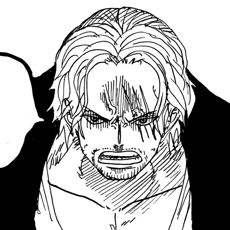 akagami no shanks manga icon one piece Shanks Manga, Black And White One Piece, Funny Lockscreen, Naruto Sketch, One Piece Wallpaper Iphone, One Piece Drawing, Black Anime Characters, One Piece Manga, Anime Life