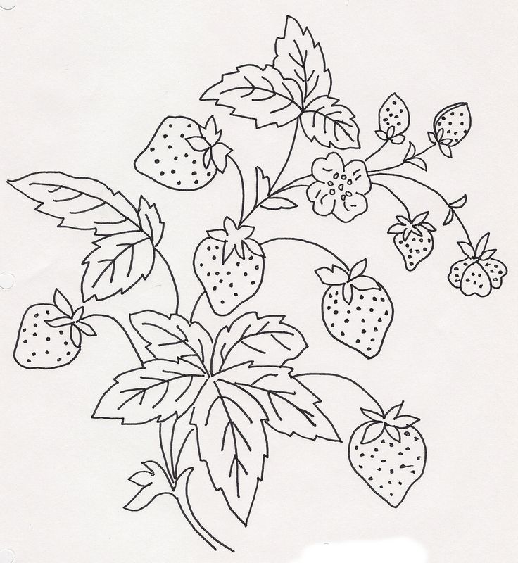 a black and white drawing of strawberries on a branch