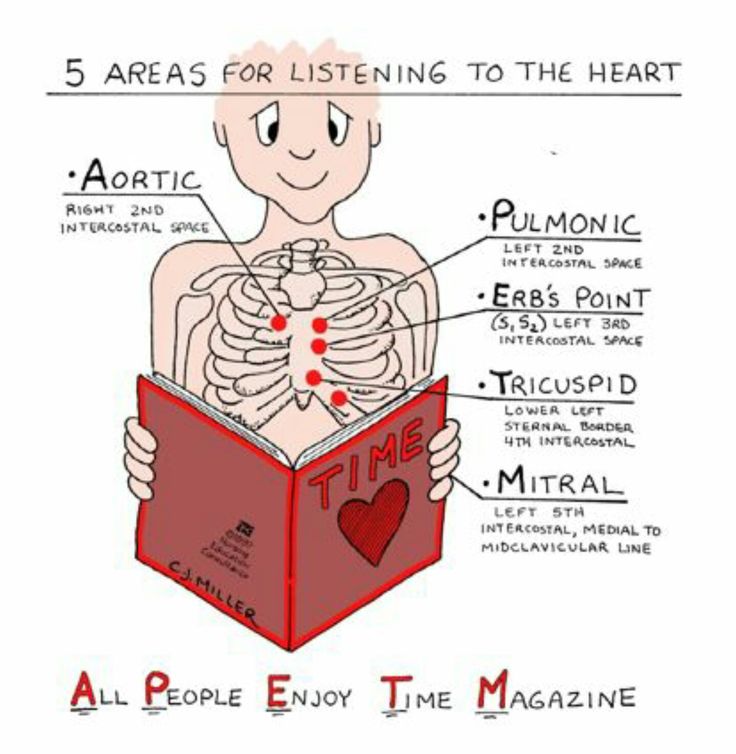 an image of a skeleton reading a book with the caption, 5 areas for listening to the heart