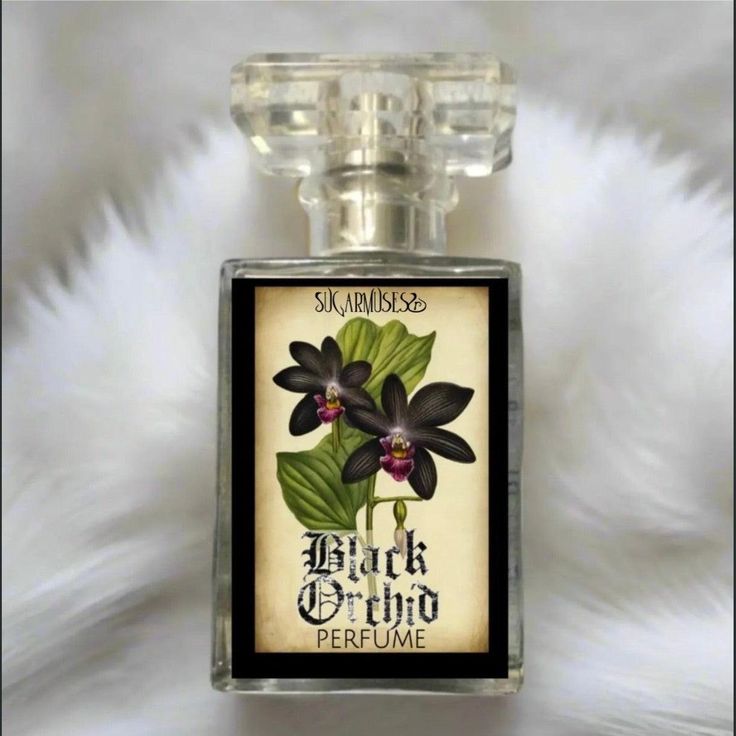 Black Orchid Perfume Spray 1 oz bottle Notes: Orchid - jasmine - night blooming florals - black amber - patchouli - Madagascar vanilla.*Perfume Spray contains essential oils, absolutes/ fine fragrance oils, organic perfumers alcohol and gemstones.Phthalate-freeCruelty- freeVeganOrganicAvoid contact with eyes. Keep away from small children and pets. These products are for external use only.If irritation occurs, discontinue use immediately and contact your physician or health care provider. Black Orchid Perfume, Orchid Perfume, Rituals Set, Vanilla Perfume, Madagascar Vanilla, Silver Caps, Essential Oil Perfume, Black Orchid, Luxury Fragrance