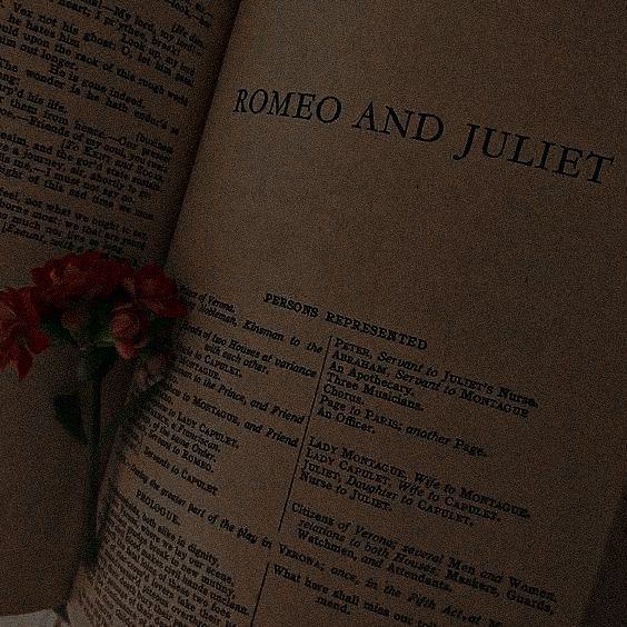 a red flower sitting on top of an open book with the words rome and juliaet