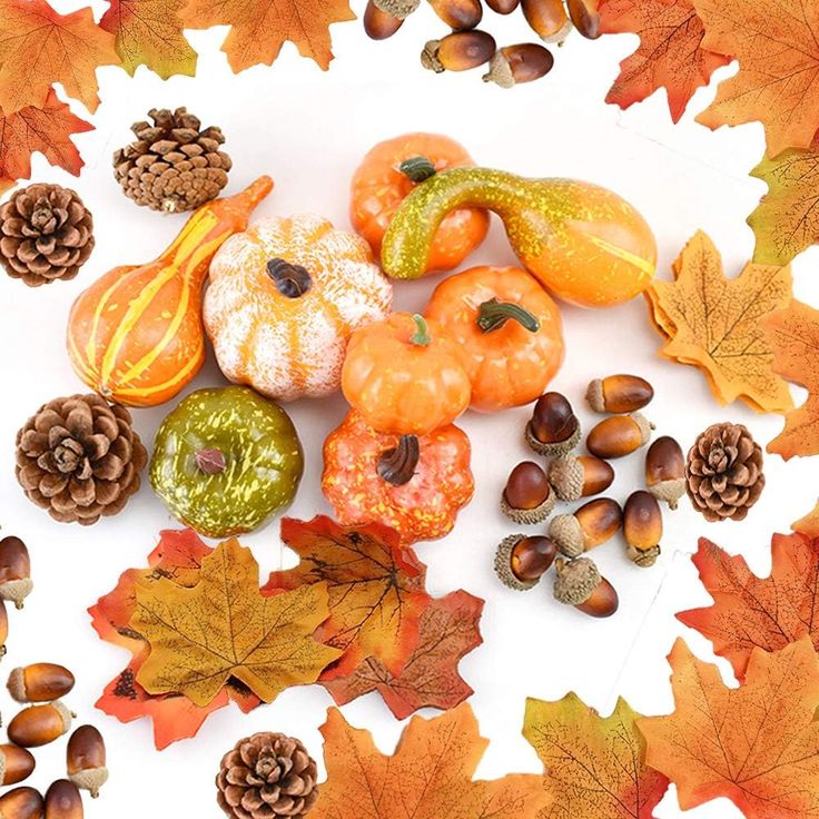 an arrangement of fall leaves, acorns and pumpkins on a white background