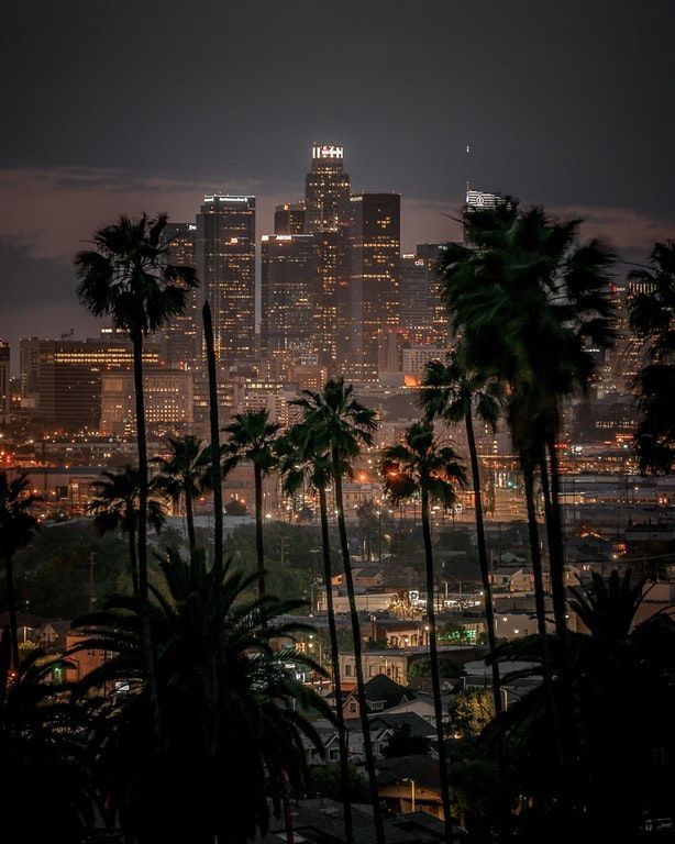 the city skyline is lit up at night, with palm trees in front of it