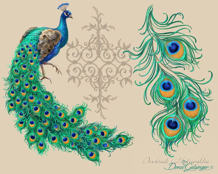 two peacocks standing next to each other on a beige background with an ornate design