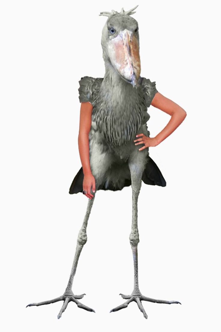 a person in a bird costume standing with their hands on his hips