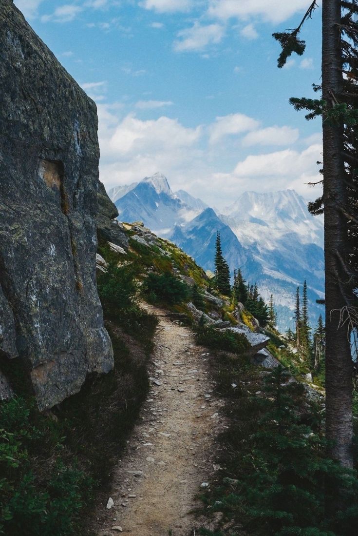 a trail going up the side of a mountain with trees on both sides and mountains in the background