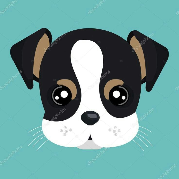 a black and white dog's face with brown eyes on a blue background stockvector