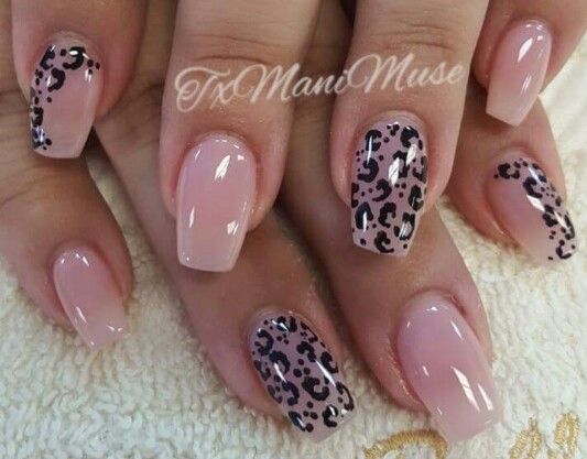 Black Nail Designs Leopard, Cheetah Nails With Rhinestones, French Manicure With Leopard Accent Nail, Leopard Print Dip Nails, Pink And Gray Leopard Nails, Summer Cheetah Nail Designs, Cheetah Dip Nails, Cheetah Summer Nails, Neutral Cheetah Nails