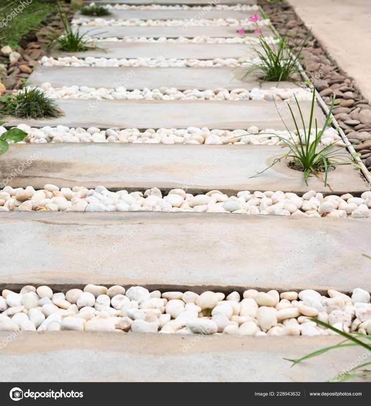 the steps are made out of cement and pebbles with plants on each side stock photo