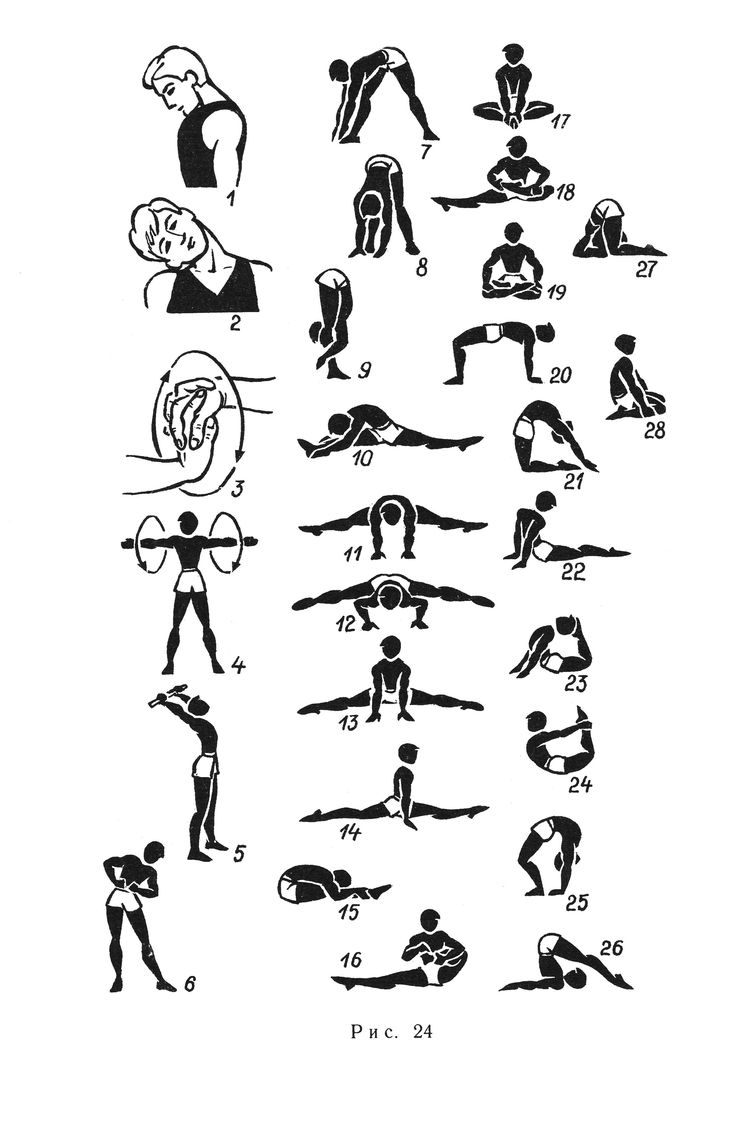 an illustrated drawing of different poses and body shapes for people to use in the gym