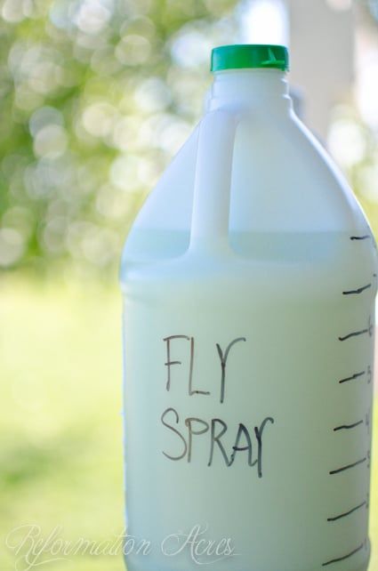 a gallon of fly spray sitting on top of a wooden table next to a tree