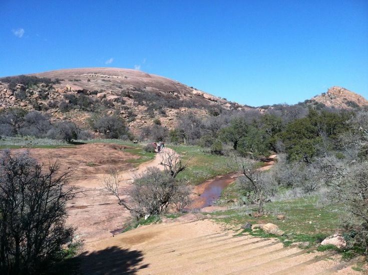 there is a man walking up the stairs in the mountainside area with trees and bushes