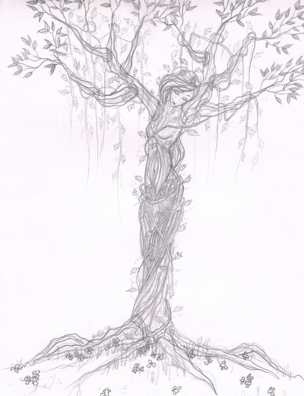 a drawing of a tree with lots of leaves on it's branches and roots