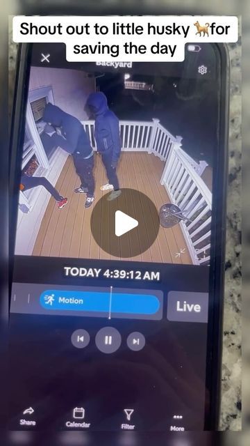 The Mounting Masters | Low Voltage Solutions | Arizona on Instagram: "📹 Watch this intense moment caught on a porch security camera! 🚨 Three men attempt to break into a house, with two intruders sneaking through an open window. But their plan is quickly foiled as a brave husky inside the house chases them off. 🐕‍🦺 You can see them running out of the house in a panic. This is a reminder of the importance of home security. Protect your home with our top-notch alarm and security camera installations.

The Mounting Masters
(602)376-3776
Licensed - Bonded - Insured 
Arizona

#HomeSecurity #BreakIn #CaughtOnCamera #SecurityCameras #StaySafe #ProtectYourHome" Security Guard House, Home Security Ideas, Door Security Devices, Diy Security Camera, Security Storm Doors, Door Reinforcement, An Open Window, Security Camera Installation, Guard House