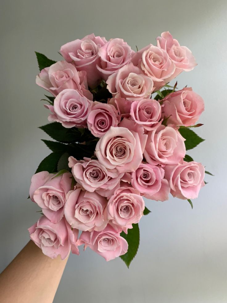 a bouquet of pink roses in someone's hand