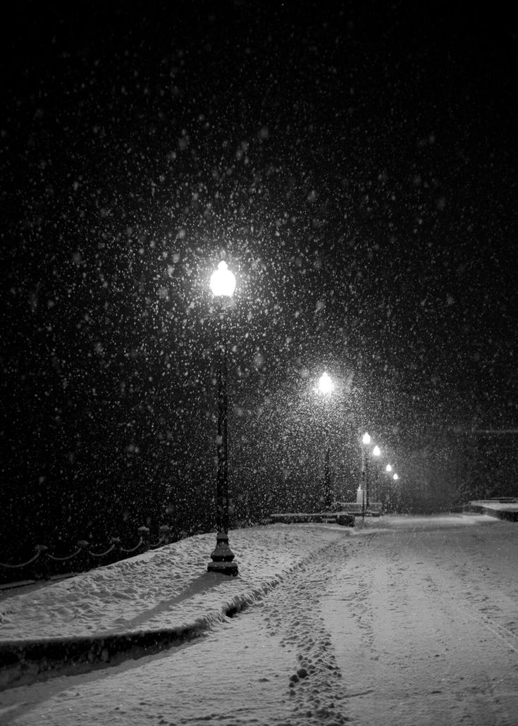 a street light on a snowy night with snow falling all over the ground and it's lights lit up