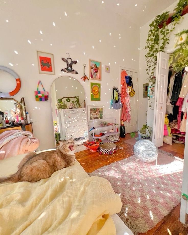 a cat is laying on the floor in a room with lots of clothes and decorations