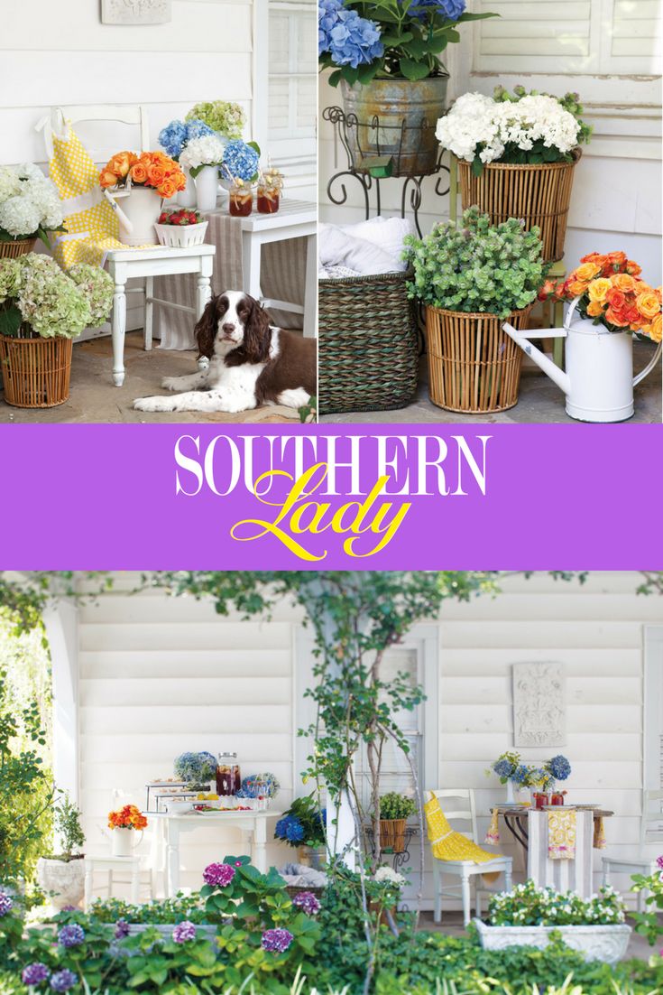 the southern lady magazine cover features flowers and food