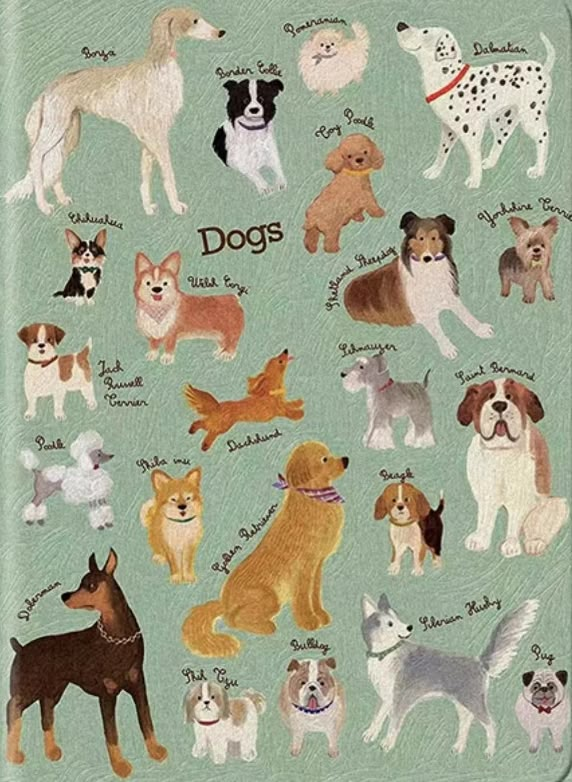 an image of dogs that are in different colors and sizes on a light green background