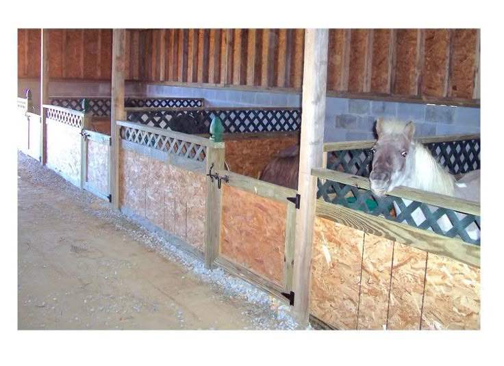 two horses are standing in their stalls at the stable, one is sticking its head over the fence