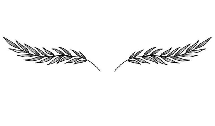 an olive branch with two leaves drawn on the top and bottom of it, in black ink