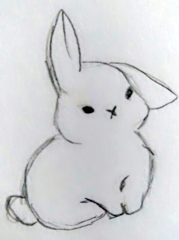 a drawing of a white rabbit sitting down