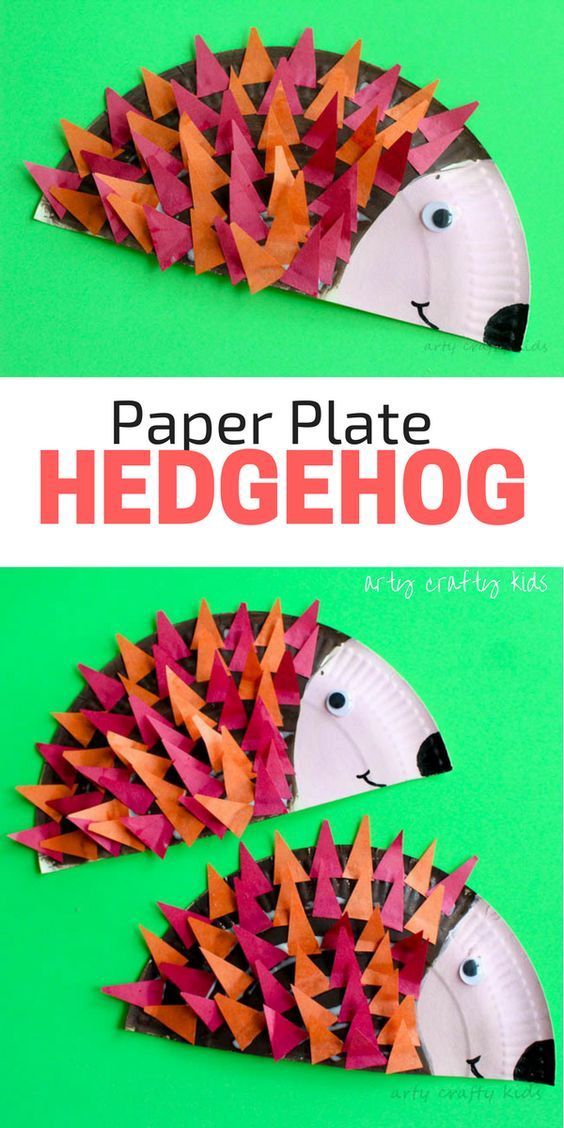 paper plate hedgehog craft for kids to make