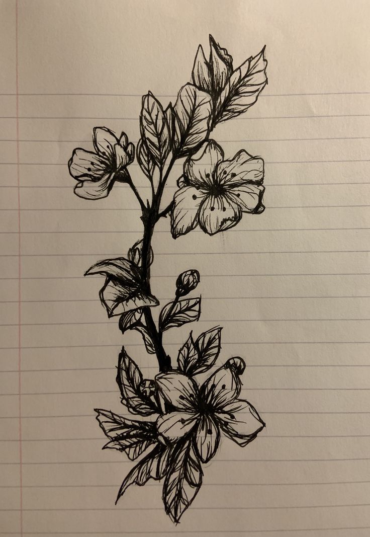 a drawing of a flower on lined paper