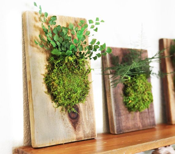 three pieces of wood with plants in them sitting on a shelf next to each other