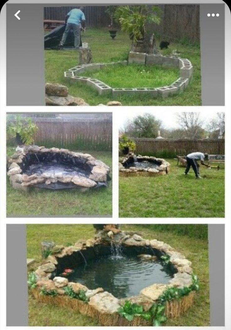 several pictures of a pond in the middle of a yard