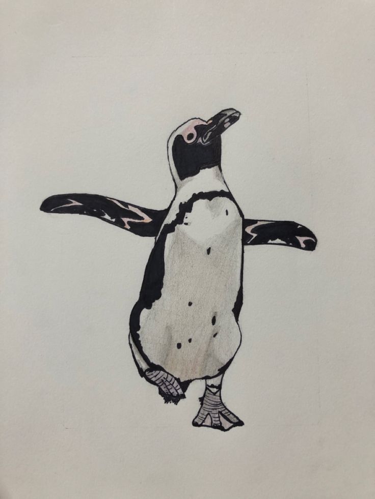 a black and white drawing of a penguin