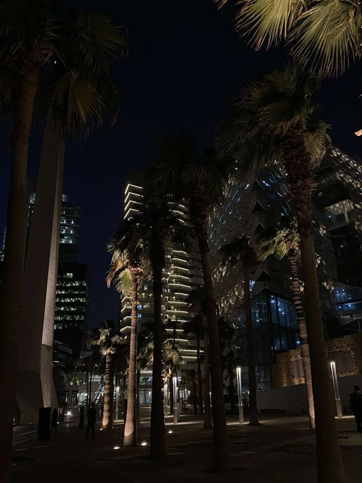 palm trees line the street at night in front of tall buildings with lights on them