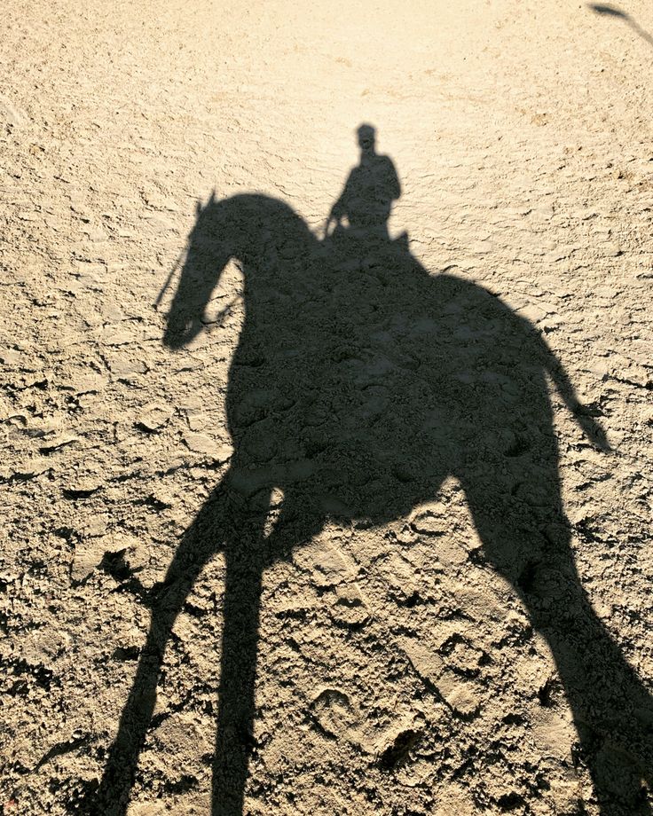 a shadow of a person riding a horse on the ground with it's rider